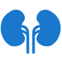 nephrology